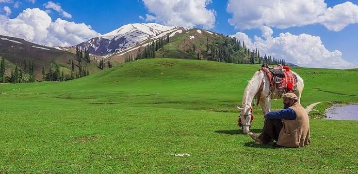 Siri Paye Meadows Kaghan Valley