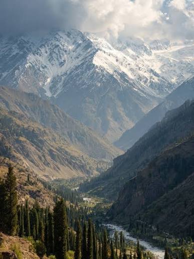 Chitral Gol National Park Lower Chitral