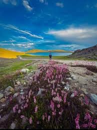 Deosai National Park