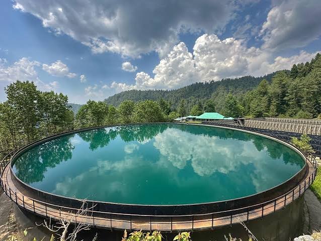 Dunga Gali Galyat Abbottabad