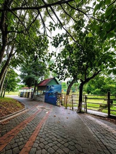Changa Manga Forest Kasur