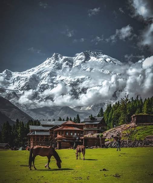 Fairy Meadows