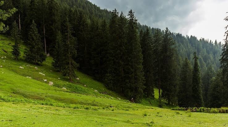 Kala Chashma Kumrat Valley Upper Dir
