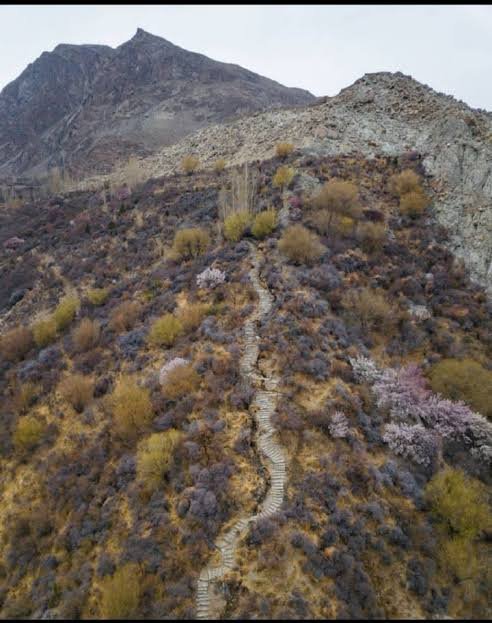Ondra Poygah Gulmit Trek