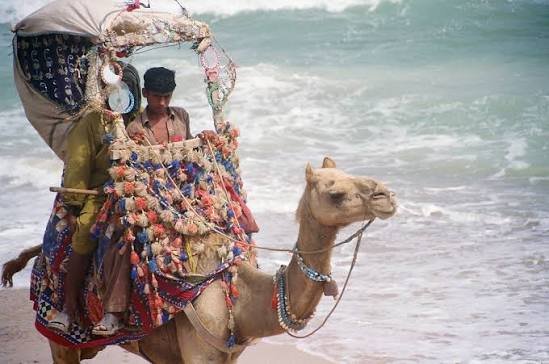 French Beach Exclusive Coastal Haven Karachi