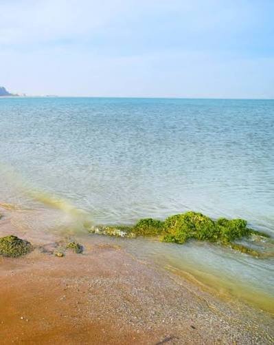 Pishukan Beach Gwadar Balochistan