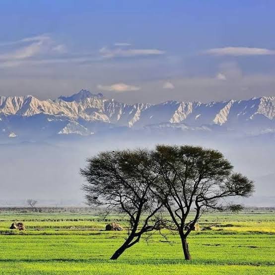 Head Marala Sialkot
