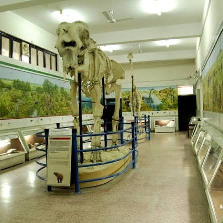 Pakistan Museum of Natural History Islamabad