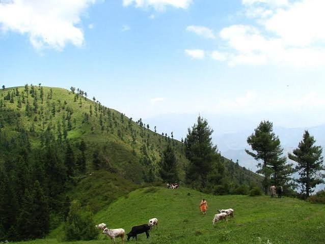 Miranjani Peak Galyat Abbottabad