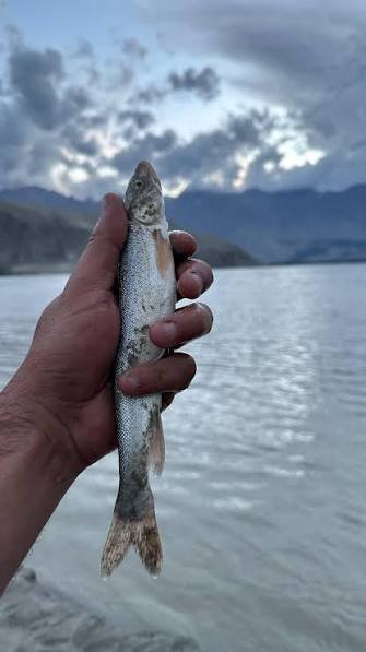 Saling Valley and Fish Farm