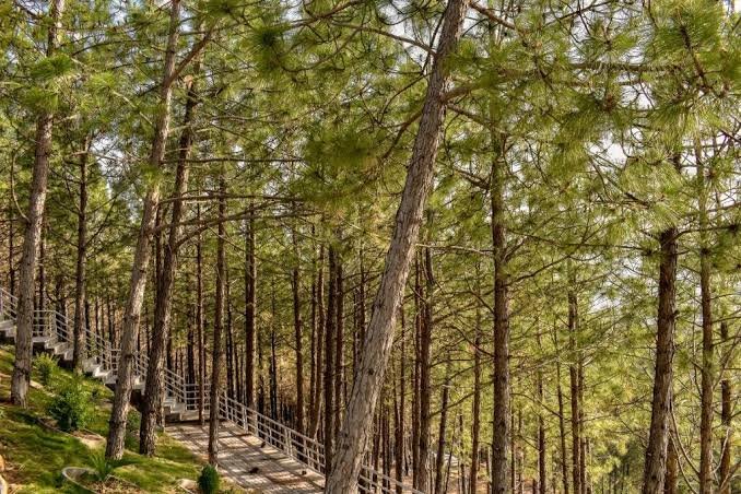 Thandiani Hill Station Abbottabad