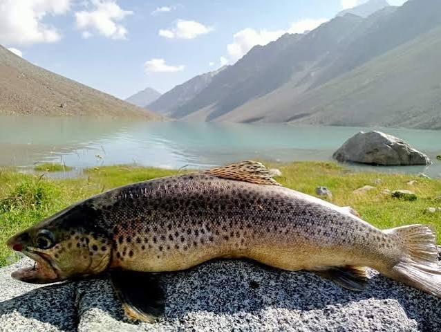 Phander Valley and Phander Lake