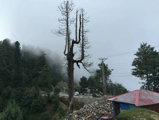 Changla Gali Galyat Abbottabad