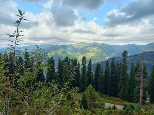 Lasdana Bagh