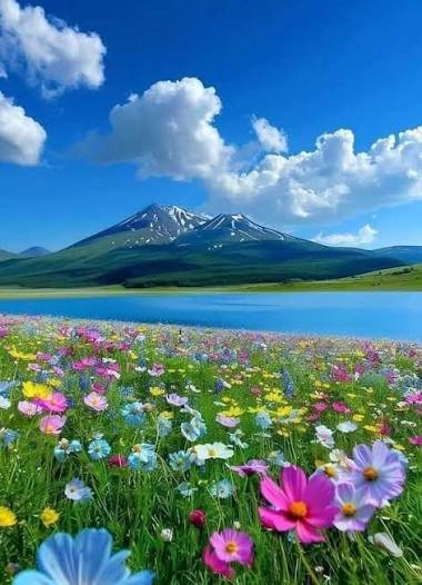 Sheosar Lake