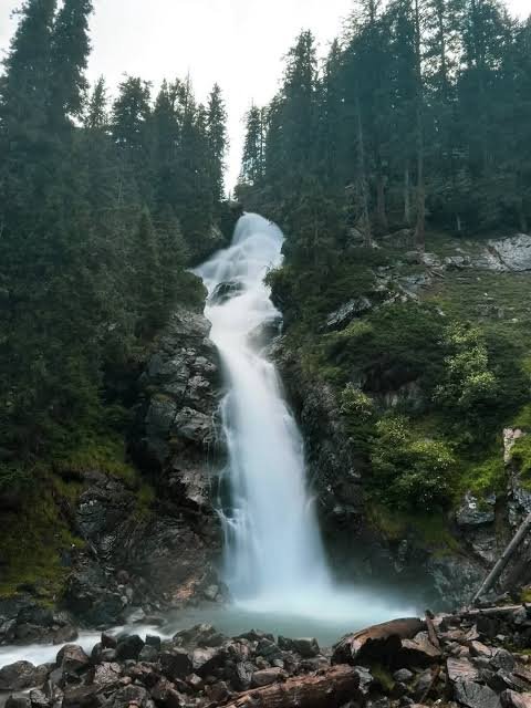 Kumrat Valley Forest Upper Dir
