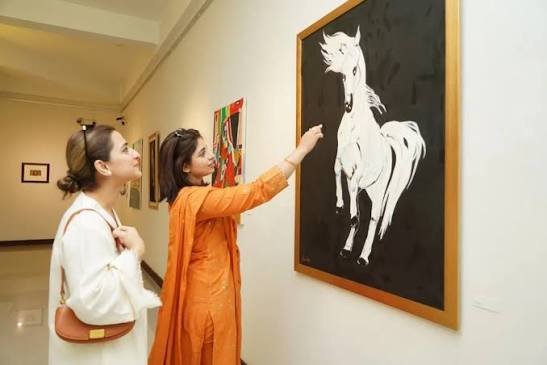 National Art Gallery PNCA Islamabad