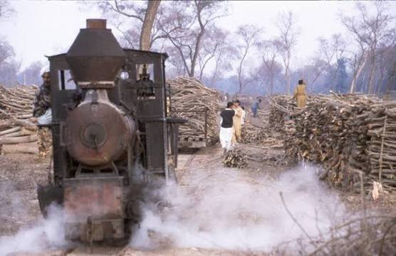 Changa Manga Forest Kasur