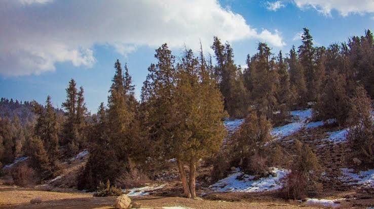 Ziarat Valley and Ancient Juniper Forest Balochistan