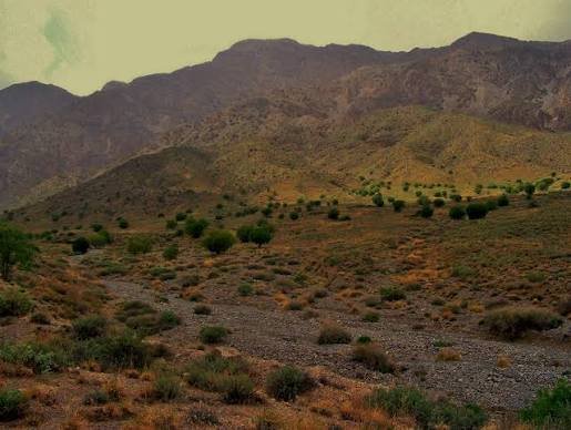 Hazarganji Chiltan National Park Quetta