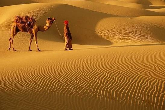 Cholistan Desert Rohi Bahawalpur