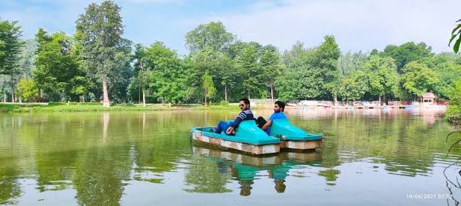 Changa Manga Forest Kasur