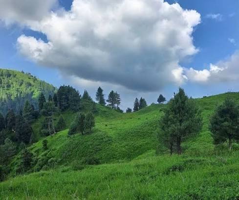 Miranjani Peak Galyat Abbottabad