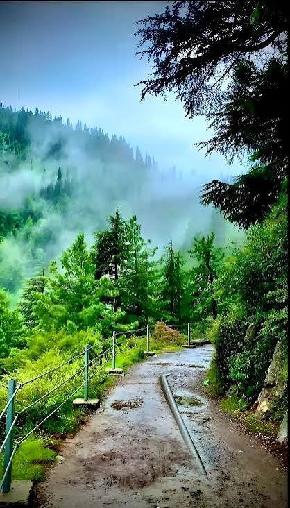 Dunga Gali Galyat Abbottabad