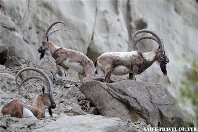 Hingol National Park Balochistan