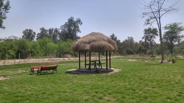 Lal Suhanra National Park Bahawalpur