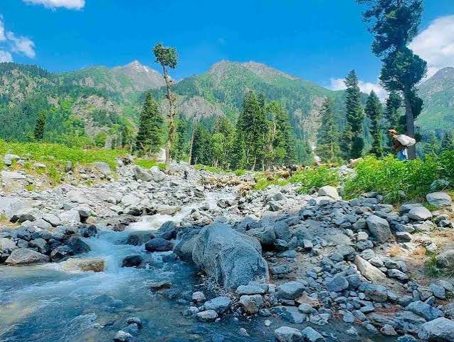 Kumrat Valley Forest Upper Dir
