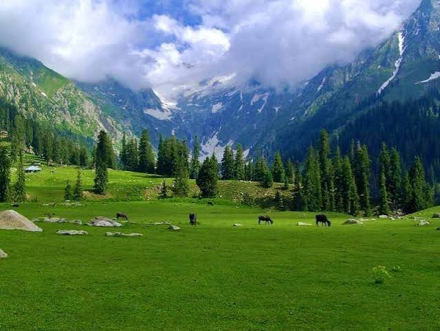 Jahaz Banda Meadows Upper Dir