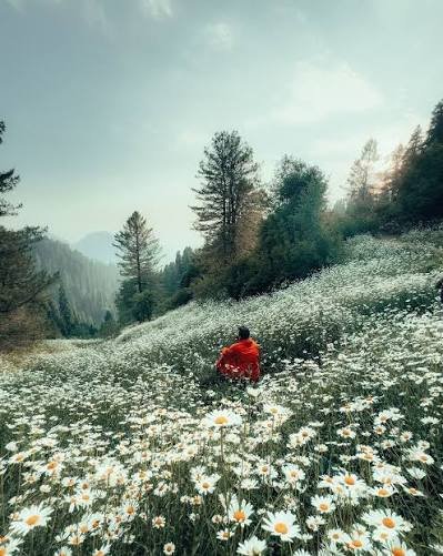 Mukshpuri Peak Galyat Abbottabad