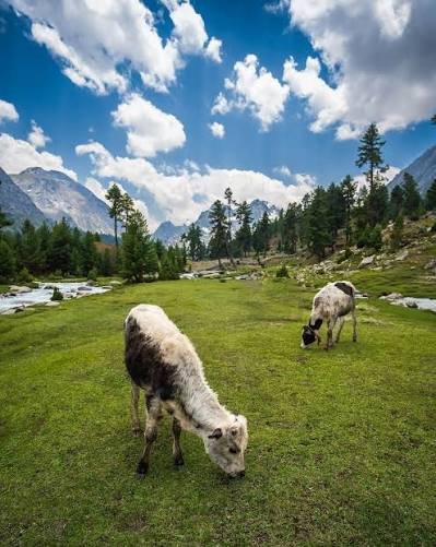 Badogai Pass Upper Dir