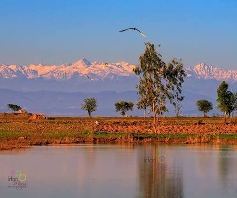 Head Marala Sialkot