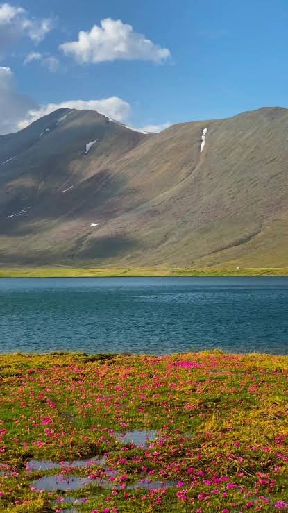 Sheosar Lake