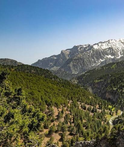 Ziarat Valley and Ancient Juniper Forest Balochistan