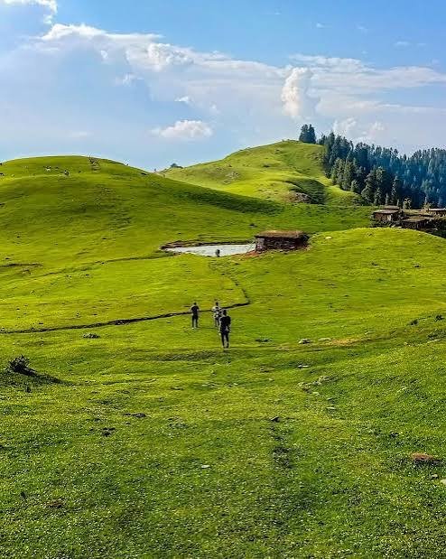 Siri Paye Meadows Kaghan Valley