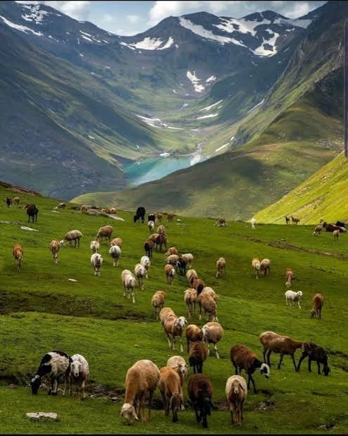 Saral Lake Neelum