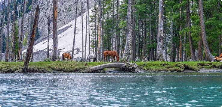 Kalam Valley Swat