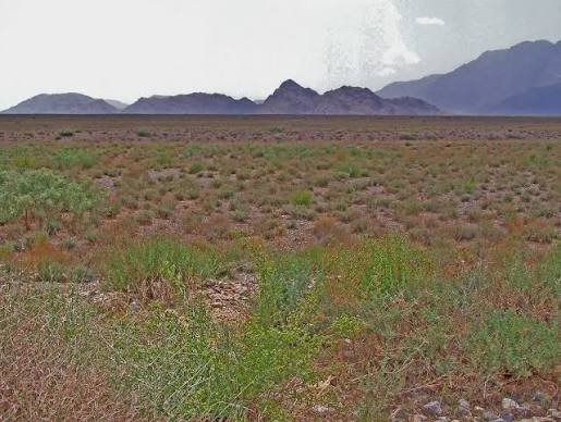 Hazarganji Chiltan National Park Quetta