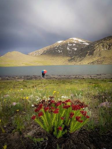 Deosai National Park