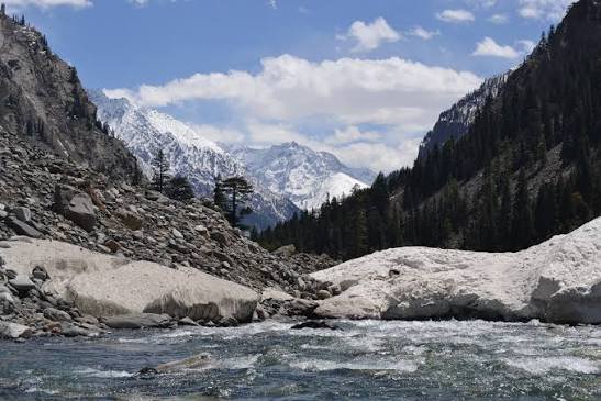 Ushu Forest Kalam Swat