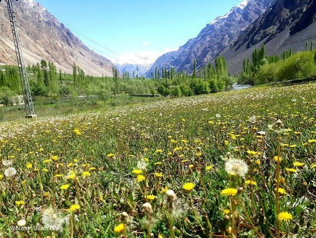 Yasin Valley