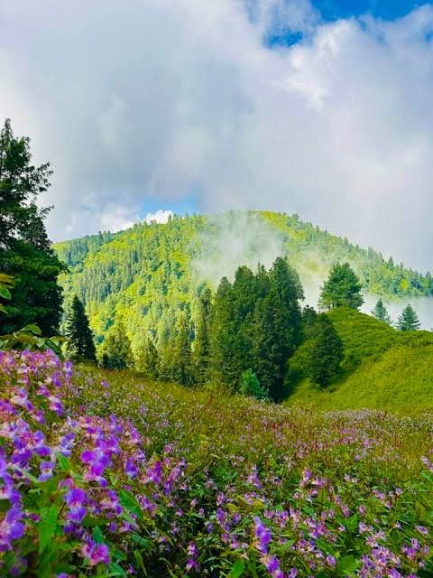 Miranjani Peak Galyat Abbottabad