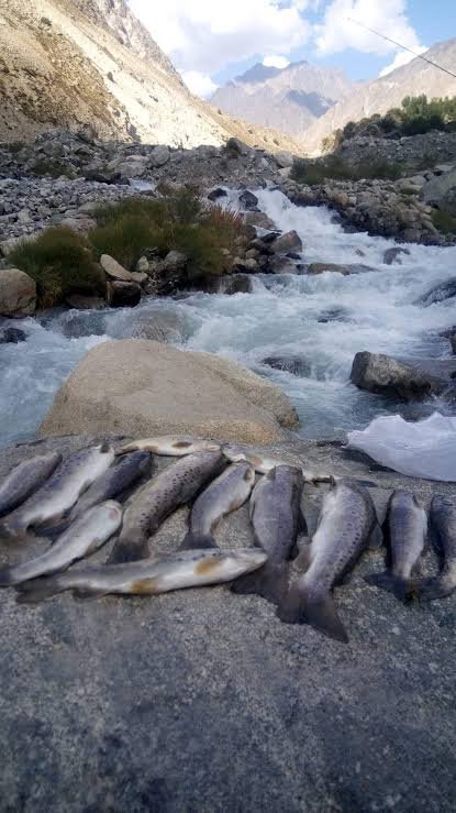 Panjkora River Upper Dir
