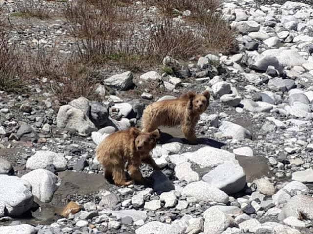 Khunjerab Pass and National Park
