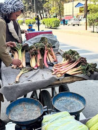 Hazara Town and Local Markets Quetta