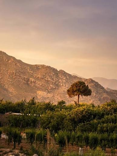 Urak Valley and Hanna Lake Quetta