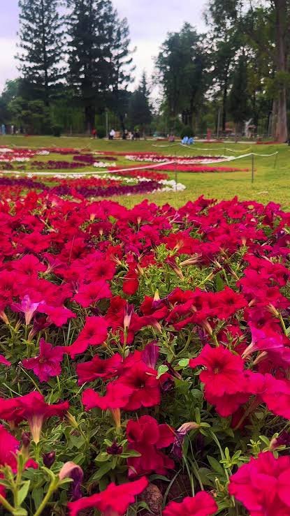 Rose and Jasmine Garden Islamabad